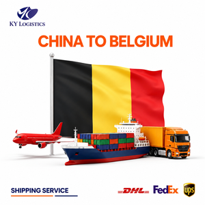Schneller Express-Paketlogistikdienst von Dongguan, China, nach <span class=keywords><strong>Tarija</strong></span>, Versandagent nach Bolivien, Spediteur, DDP-Lieferung. - Product Image 1