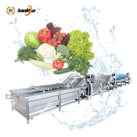 Machine industrielle de nettoyage des fruits et légumes, laveuse à bulles pour carottes, tomates, légumes-feuilles et radis