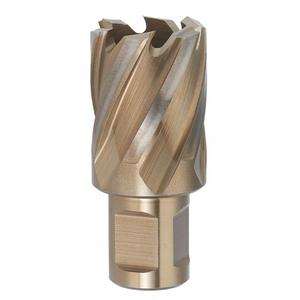 FERVI - F002/31 Fraise universelle avec tige de Weldon 1200 n/mm² HSS-Co 5% - EAN 8012667291433 FORETS SCIES TROU ET ARBORS - Product Image 1