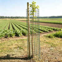 Grands protège-plantes en fil métallique, cages en fil métallique, cloches en grillage pour protéger les plantes, les jardins et les arbustes des animaux