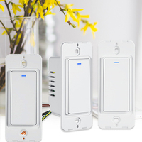 Tuya Smart Zigbee sans fil US EU UK AU Wifi Bouton Homekit Switch 2 Gang Smart Switch