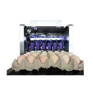 Impressão ovo galinha Máquina rotulagem ovo Máquina impressora ovos
