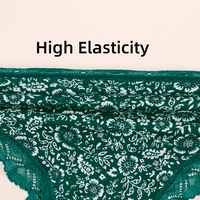 Celana Dalam Wanita Model Thong Pinggang Rendah Seksi Berenda Motif Cetak Cepat Kering untuk Sehari-hari OEM ODM