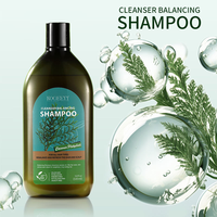 Shampooing Purifiant et Volumisant KOGEEYY 500ML aux Feuilles de Platycladus, à la Caféine, à l'Huile de Graine de Camélia, Revitalisant à la Menthe et au Romarin