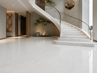 Nouvelles dalles de marbre blanc Aristonia pour îlots de cuisine, murs de salle de bain, revêtements de sol de hall, plans de travail de salle de bain et panneaux muraux à motifs.
