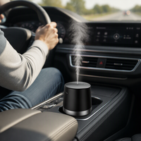 Diffuseur de voiture rechargeable sans eau pour huiles essentielles, nébuliseur à faible bruit avec contrôle automatique par capteur pour l'intérieur du véhicule (OEM)