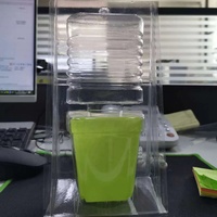 Boîte à clapet en plastique pour plantes en pot boîte d'emballage blister pour plantes expédition