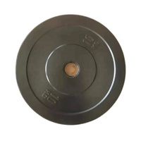 Paire de plaques de poids de musculation de 45 lb pour haltères, pour utilisation à domicile