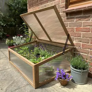 Mobiliário quintal jardim cobrir green house estrutura frio frame mini estufa