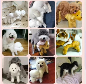 Giocattolo per Cani Realistico di Alta Qualità OEM, in Morbido Silicone con Pelliccia Sintetica, per il Periodo Fisiologico degli Animali Domestici, Partner per il Gioco Durante l'Estrusione e l'Accoppiamento - Product Image 6