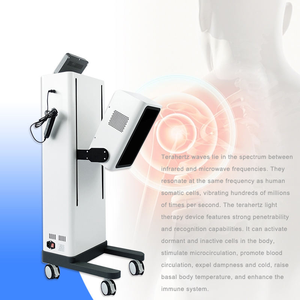 Masajeador Corporal de Meridianos para la Circulación de Qi y Sangre, Máquina Profesional de Terapia de Terahercios, Suministros para el Cuidado de la Salud - Product Image 2