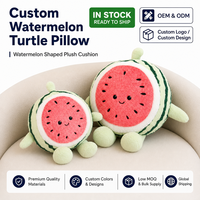 Oreiller et couette en peluche super douce personnalisés de haute qualité OEM pour fruits de pastèque PP coton lesté pour la Saint-Valentin