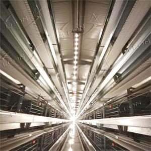 Jaulas para Gallinas Ponedoras Tipo H Galvanizadas, Nuevo Diseño, Gran Venta, para Granjas Avícolas - Product Image 4