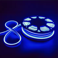 Bande LED AC110V 220V IP20 IP65 nominale bande lumineuse au néon avec contrôle Bluetooth pour centres commerciaux décoration de la maison