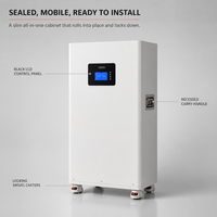 Système de stockage d'énergie domestique tout-en-un, hybride, empilable, hors réseau, 48V 314Ah LiFePO4, IP65, 16KWh, RS485 CAN WIFI, OEM ODM