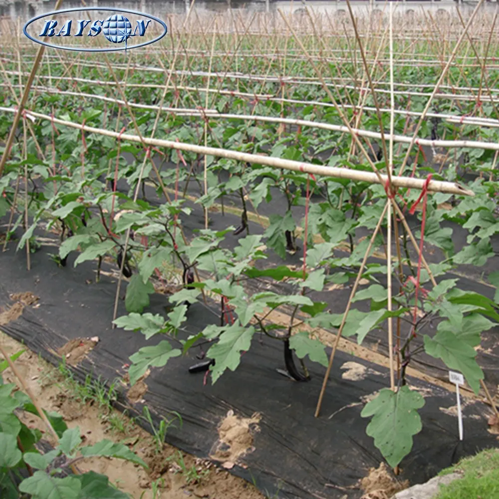 新製品生地ロール雑草防除農業不織布雑草防除生地ポリプロピレン雑草マット