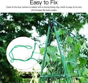 Red de Nailon Verde Resistente a los Rayos UV, Anti-Granizo, para Soporte de Enredaderas en Jardín y Protección de Frutas como Pepinos NETE - Product Image 6