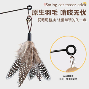 Jouet pour chat de compétition, bâton long pour chat, accessoire d'auto-entretenement et de divertissement, fil d'acier résistant aux morsures, plume - Product Image 5