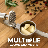 Keuken Premium Knoflookpers Set Roestvrij Knoflookpers Gereedschap Makkelijk te Gebruiken met Zachte Handgreep Siliconen Knoflook Schilborstel