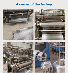 באיכות גבוהה מגולוון חוט פלדה רשת גדר עוף רול רשת פלדה - Product Image 4