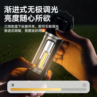 Lampe de camping en plein air Blackdog avec longue endurance, lumière forte, lampe de poche, longue endurance, lumière d'ambiance, lumière de camping