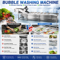 Automatische schone-aanrechtapparatuur voor champignons, bosbessen, aardbeien, kersen, asperges; automatische belletjeswasmachine voor verwerking.