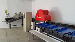 Sermac 1 línea para melocotones en España, precio competitivo, línea de clasificación de frutas usadas, máquina de línea de clasificación industrial al por mayor - Product Image 3