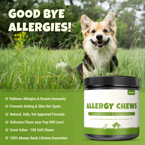 OEM Soulagement Organique Des Allergies Doux À Mâcher pour Chiens Immunitaire Soutien Digestif Réduire L'anxiété Peau Manteau Santé Friandises - Product Image 5