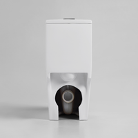WC monobloc South Villa Nouveau Modèle avec siphon P/S, design anti-gel, chasse d'eau Tornado et Vortex pour salle de bain