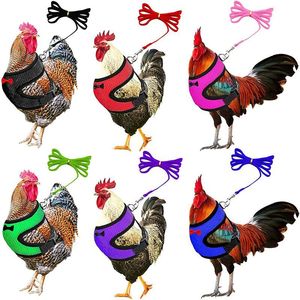 Harnais de dressage respirant en tissu pour poulets, canards et oies – Idéal pour la promenade et l'extérieur - Product Image 1