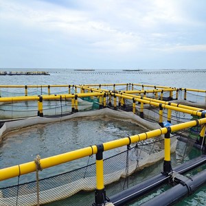 Durable Square <b>Floating</b> Cage System For Lake & Reservoir <b>Fish</b> Farming - Product Image 4