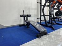 Banc d'hyperextension réglable commercial, banc romain d'hyperextension réglable, équipement de gym en acier