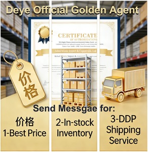 데이 인버터 SUN-50K-SG01HP3-EU-BM4 고전압 <span class=keywords><strong>3</strong></span> 상 50kw 80kw Ip65 하이브리드 태양광 인버터 400vac 50hz - Product Image 6