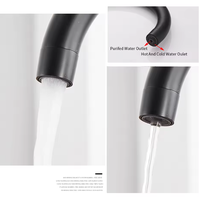 Robinet de cuisine 3-en-1 avec filtre à osmose, mitigeur pivotant pour évier, purification de l'eau, noir mat/nickel brossé