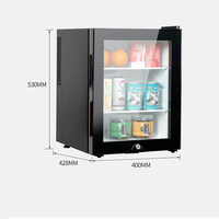 Mini-Réfrigérateur Électrique 40L sans Givre à Dégivrage Automatique, Type Thermosiphon pour Hôtel et Usage Domestique Compact