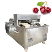 Grote Capaciteit Dadels Zaden Verwijderen Machine Olijf Date Cherry Core Remover Automatische Kersenbak Verwijderaar Machine