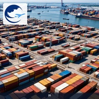 Servicio de Transporte de Contenedores Puerta a Puerta de Yiwu a Italia, FCL LCL, Servicio de Entrega DDP DDU, Servicio de Despacho de Aduanas