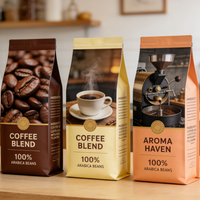 Sachets refermables personnalisés à faible MOQ avec impression, sacs à fermeture éclair avec lignes de déchirement pour 250g 500g de grains de café