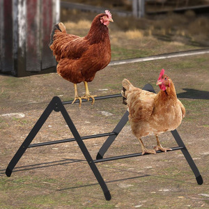 Soporte para gallinas de metal resistente, ajustable, para uso en gallineros de jardín, de acero al carbono negro. - Product Image 1