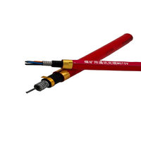 Cable Compuesto Multiconductor Blindado para Minería de Carbón, Cable de Señal Blindado con Metal Corrugado, Revestimiento Exterior de PVC Rojo, Cable de Minería 1*0.5