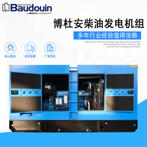 Grupo Electrógeno Diésel Baudouin de 250 kW TPD250B5, Resistente a la Lluvia, Bajo Nivel de Ruido, 400/230 V, 50 Hz, 1500 rpm - Product Image 2