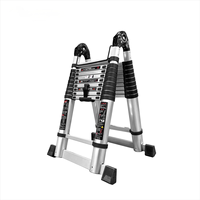 Échelle télescopique double en aluminium antirouille 1,6M-4,4M, charge 150KG, échelle à marches extensible, design moderne, pour entrepôt et salle de bain