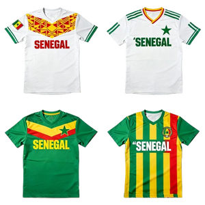 Top Sportkleding Shirt 2026 Kameroen Voetbaltenue Nieuw Afrika Cup Afrikaanse Leeuwen Heren Voetbaltenue Maillots De Soccer Jersey - Product Image 6