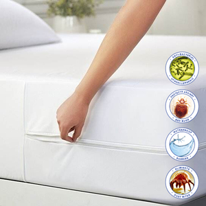 Funda de colchón hipoalergénica con cremallera de seis lados, a prueba de chinches, ácaros del polvo e impermeable. - Product Image 1