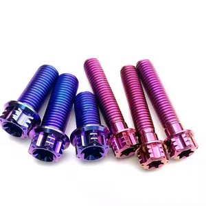 Tornillos de Titanio Morado para Motocicleta, Pernos de Cabeza Hexagonal Métricos, Anodizados, para Reparación de Motos y Construcción Personalizada - Product Image 6