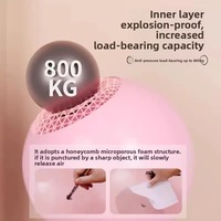 Pelota de Yoga y Pilates para Adelgazar, Moldear Cintura y Glúteos, Ejercicio de Gimnasia, Material de PVC Antiexplosión, 25CM de Diámetro