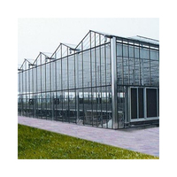 Serre polycarbonate extérieur Design Serre Offre Spéciale Verre Acier galvanisé Grand fournisseur doré Serre en verre