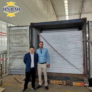 Lastra <span class=keywords><strong>Forex</strong></span> JINBAO 1220x2440mm, Materiale da Costruzione ad Alta Rigidità, Pannello in PVC Celuka - Product Image 5