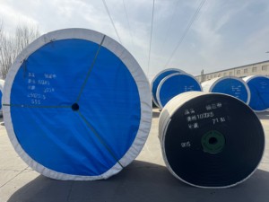 Din-22131 ST1000 Chiều Rộng 1200 6 + 6 dây thép chịu nhiệt băng tải vành đai cao su công nghiệp cao su khai thác mỏ băng tải vành đai - Product Image 5