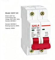Disjoncteur miniature (MCB) 1P/2P/4P C16-C63, 4,5/6 kA AC